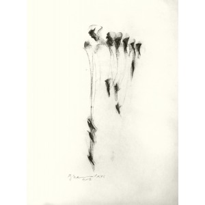 Alireza Ghadamyari, 17 x 23 Inch, Charcoal on Paper, Figurative Painting,  AC-ARG-011